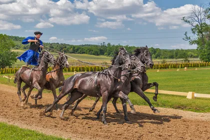 A Hungarian horseman in a blue cloak standing astride two horses while driving five at a gallop along a sandy track