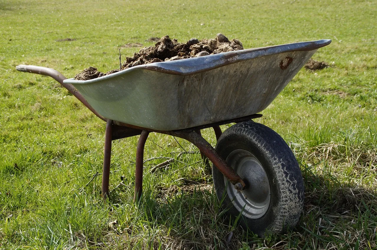 A battered galvanised wheelbarrow heaped with muck, standing on bright green grass in the sun